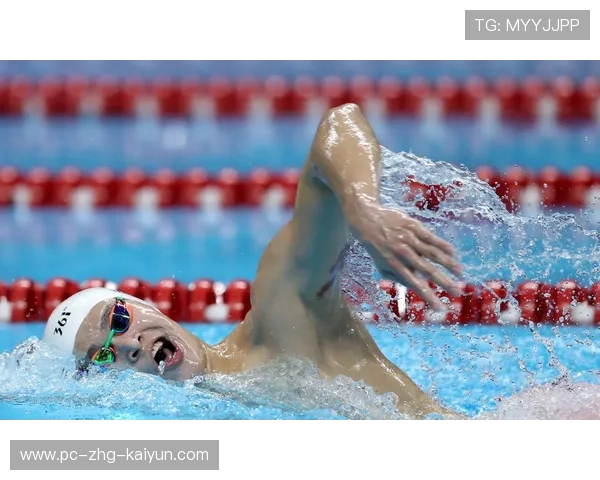 孙杨自由泳划水节奏依旧强劲