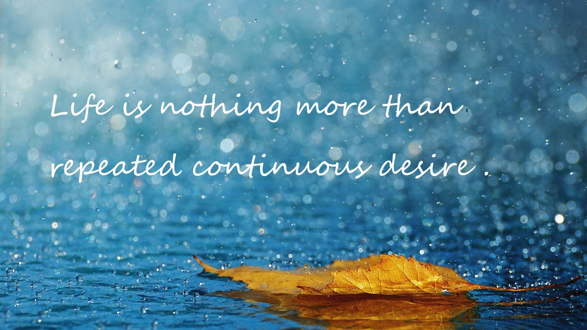 球员意识层面的职业素养待提升，球队意识