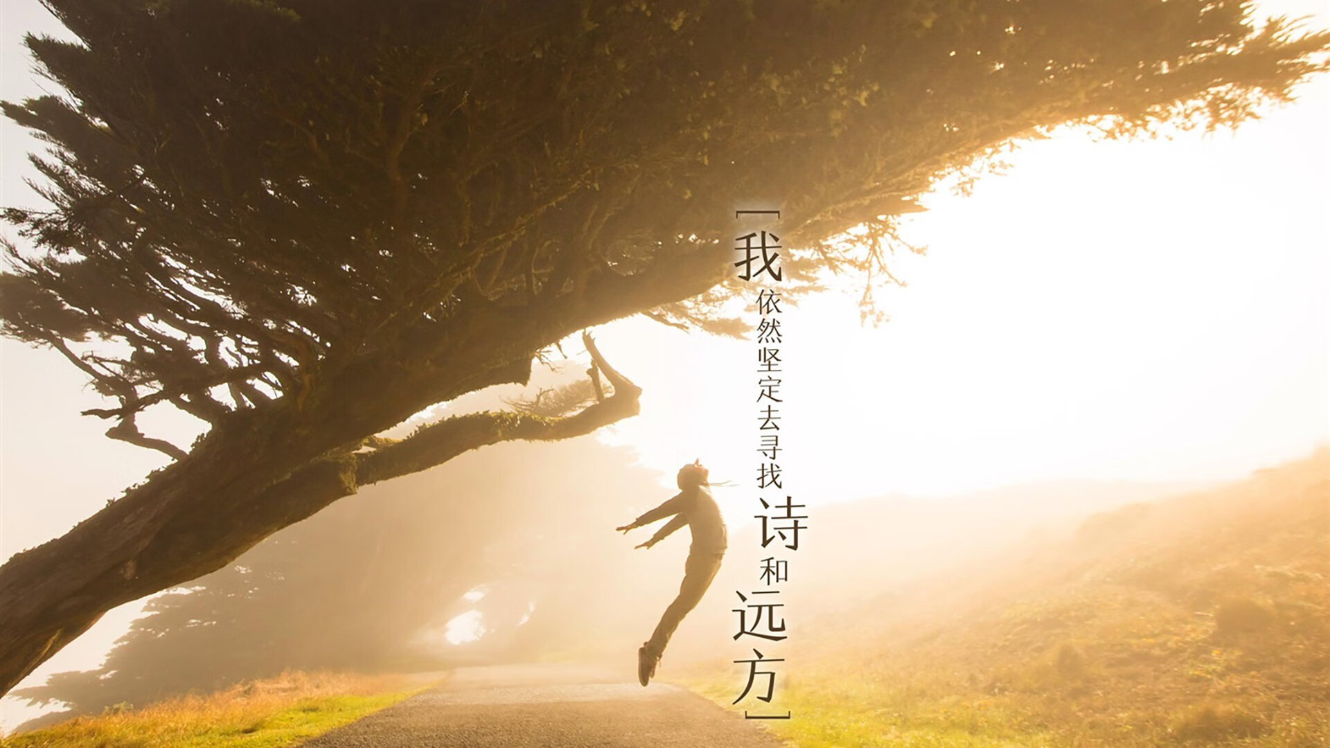 皇家贝蒂斯边路配合打穿侧翼防线,皇家贝蒂斯赛果