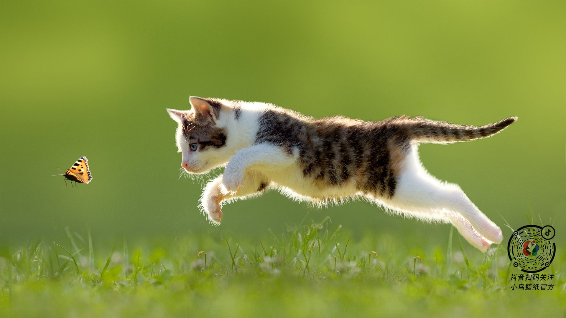 皇家社会边路传中精准制造得分机会,皇家社会首发