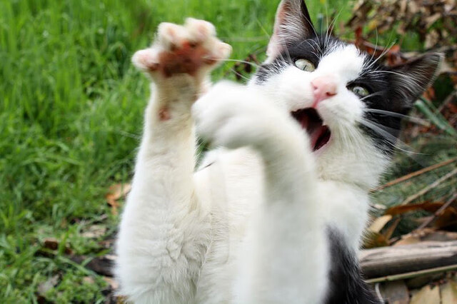 逆袭大战 亚洲杯上中国足球成功夺冠，2021年足球亚洲杯中国