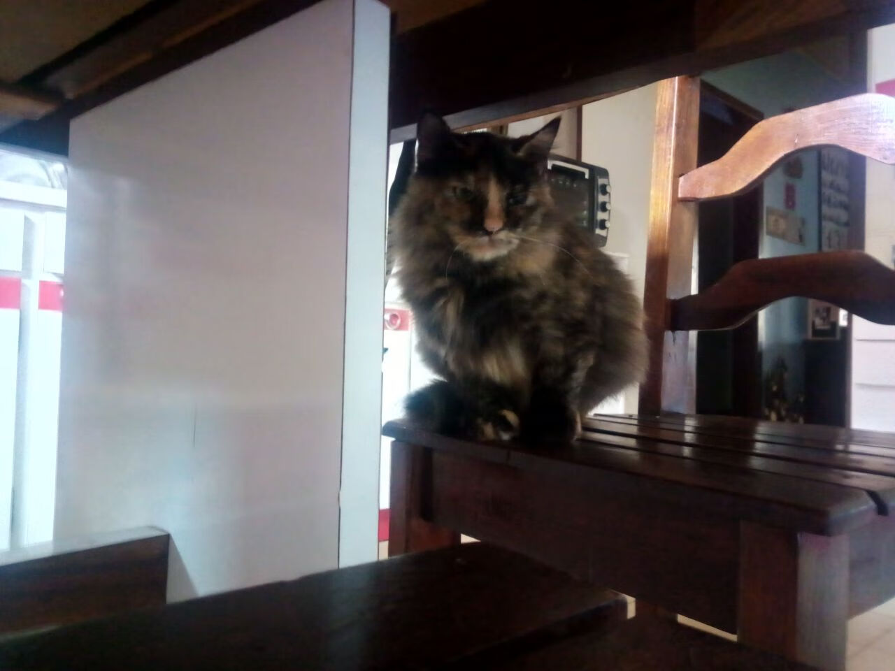 东契奇表示保持侵略性是赢球关键,东契奇太牛了