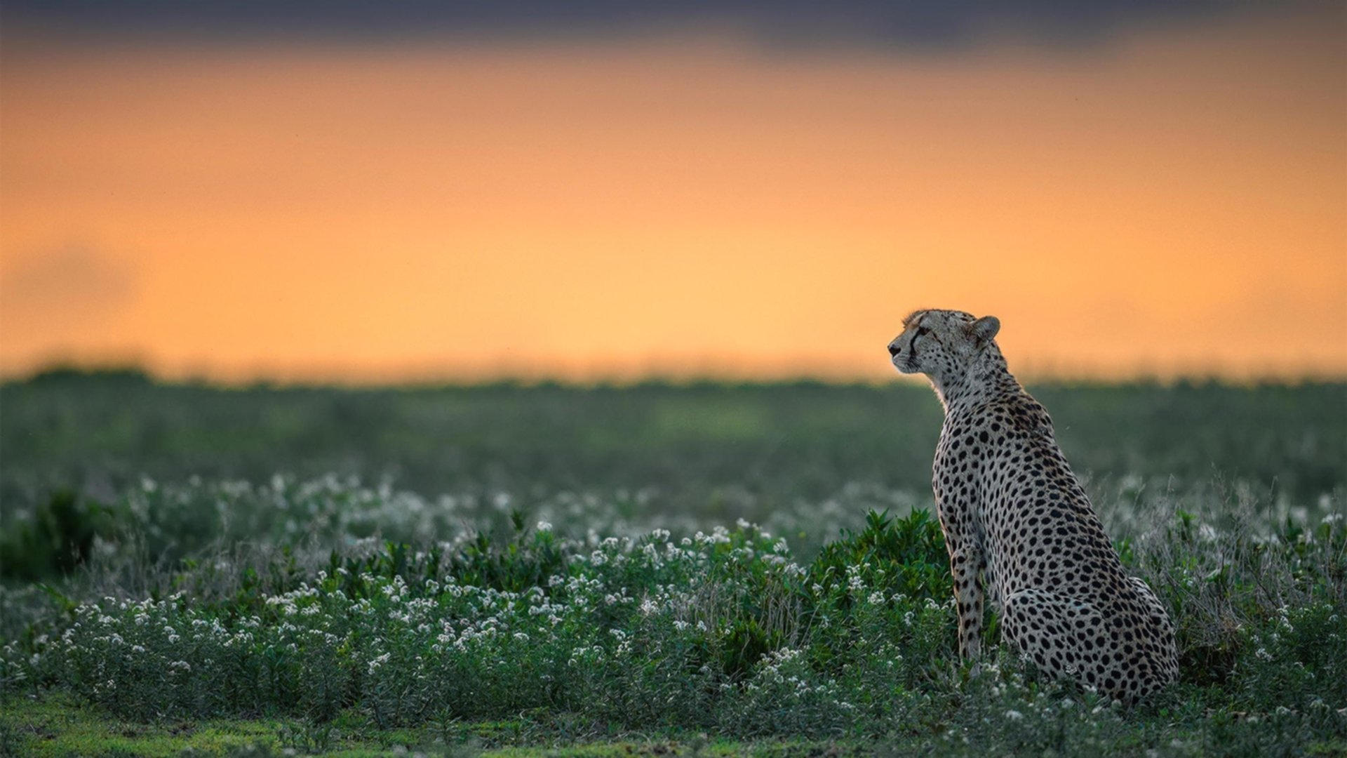 中学生篮球联赛媒体关注度显著提升引发热议，中学生篮球联赛公示