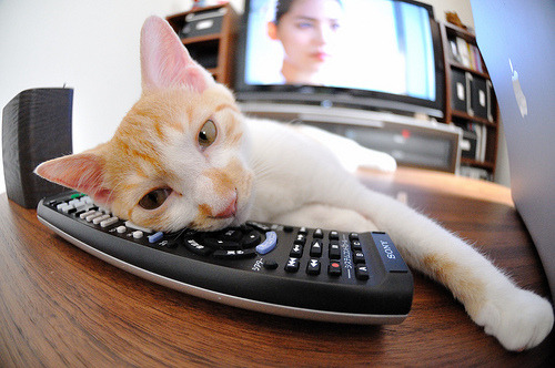 仰泳项目希腊女将稳步晋级，仰泳国际比赛