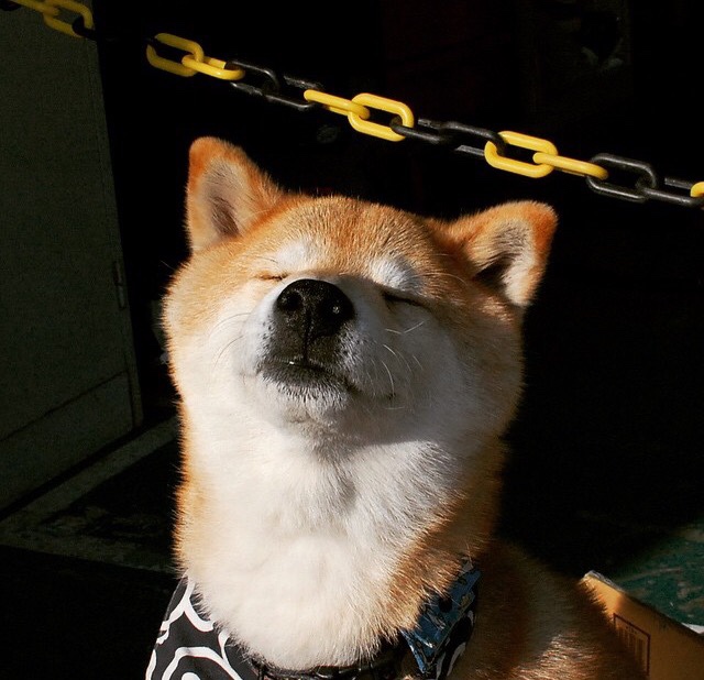 开云娱乐官网-国际青训联盟发布年度最佳青训方案，培养更多足球天才，driven国际青训师