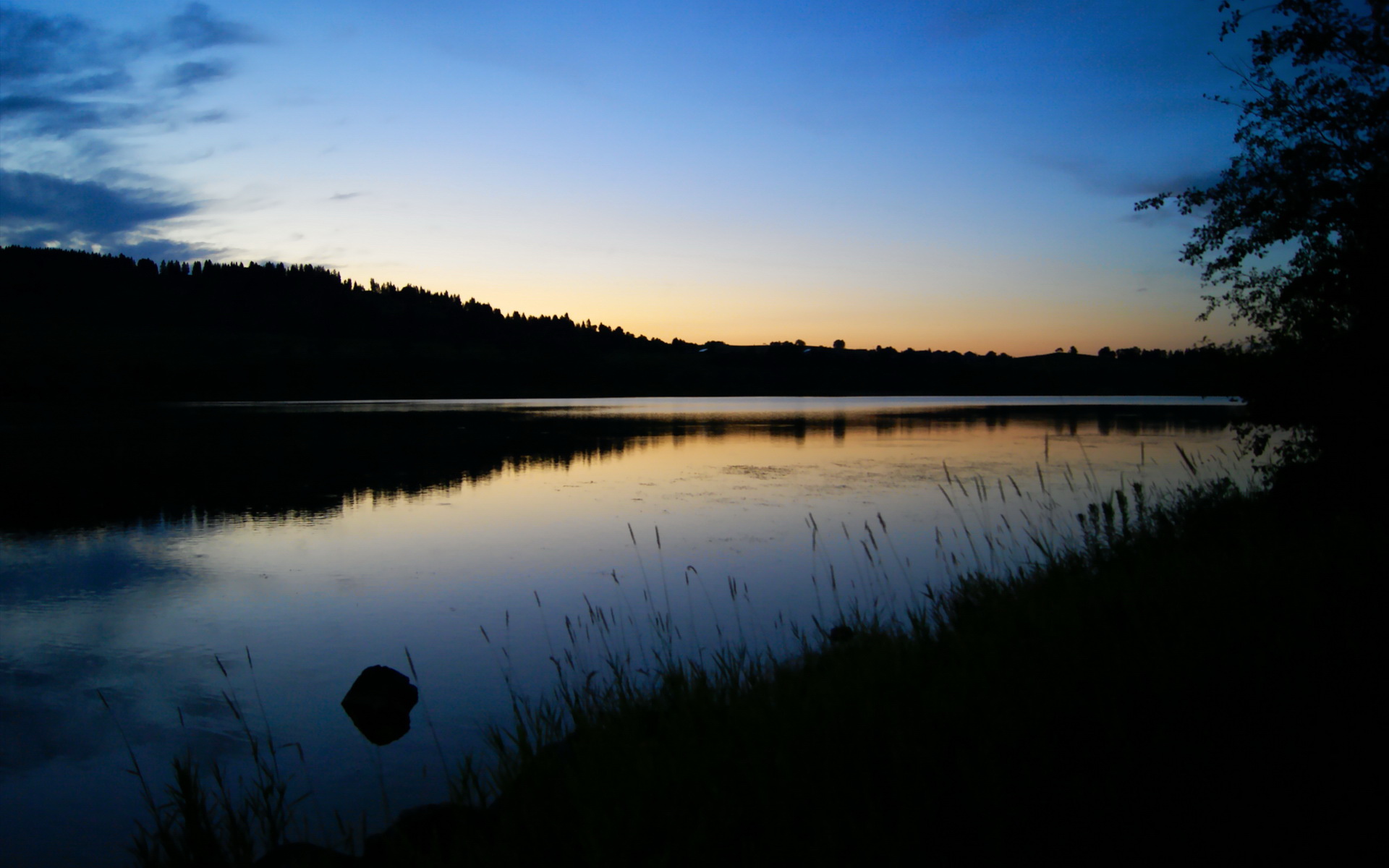 尤文图斯引入新援，中场实力瞬间提升